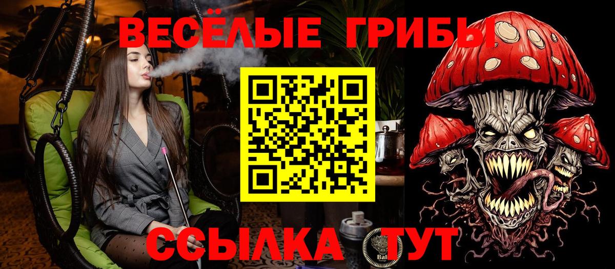 Псилоцибиновые грибы MAGIC MUSHROOMS Сибай