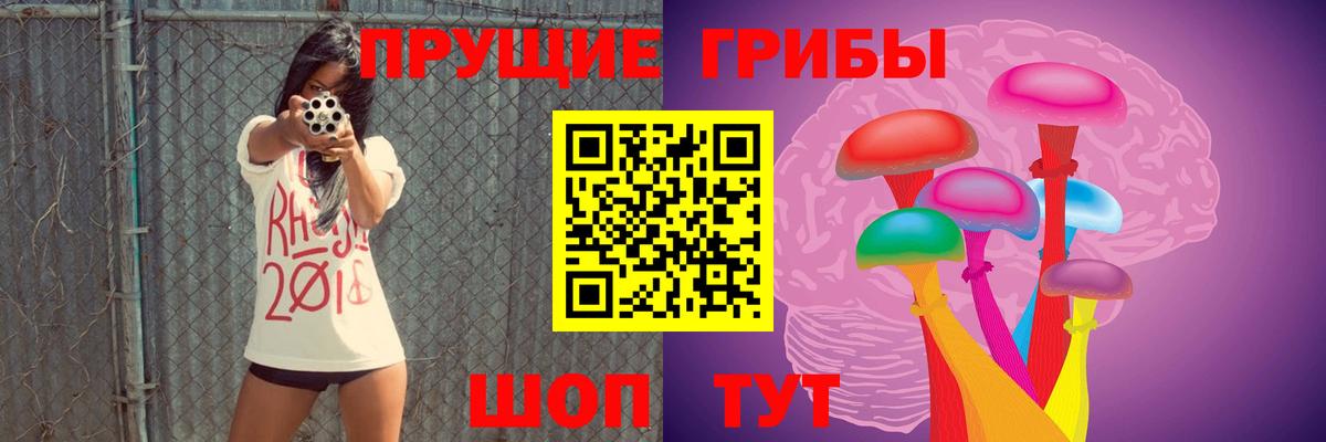 Псилоцибиновые грибы Psilocybine cubensis  Вход с VPN  Галлюциногенные грибы Cubensis  Сибай 